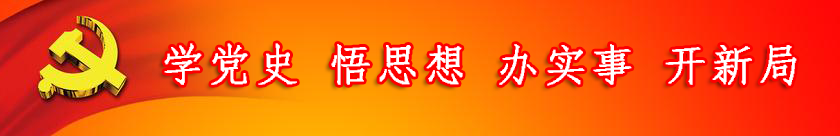 学党史 悟思想 办实事 开新局